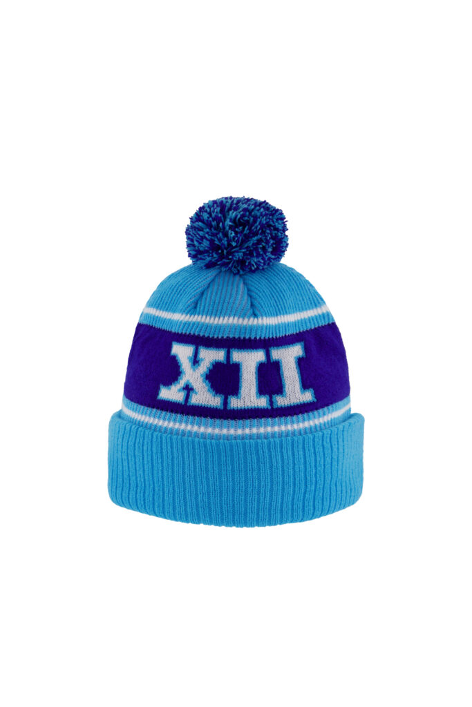 Big Freeze 12 Beanies – FightMND Shop